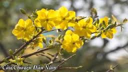 ຄວາມມຸ້ງຫວັງຂອງ ປະຊາຊົນໃນໂອກາດປີໃໝ່